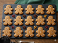 Dozen Ginger Bread Cookies
